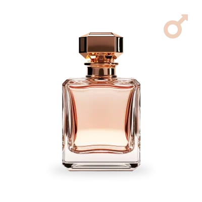 le male le parfum