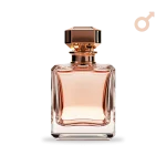 le male le parfum